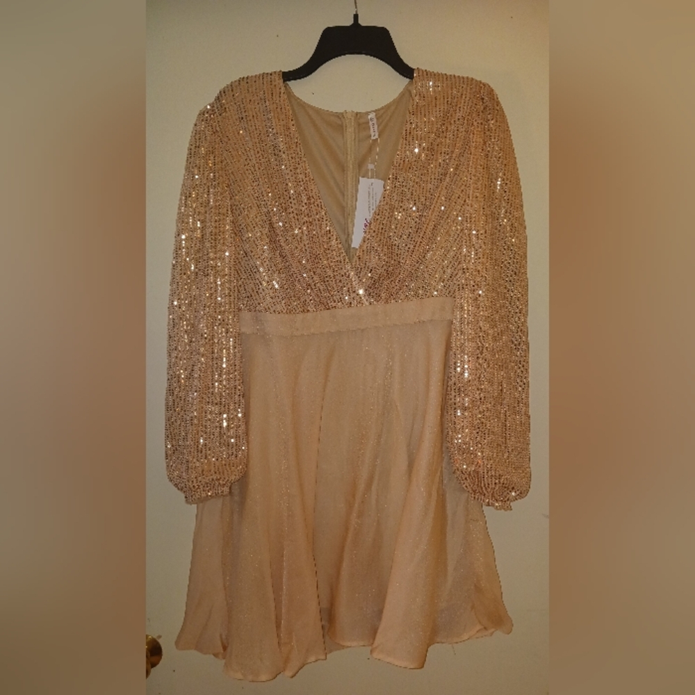 NEW D&M CHAMPAGNE COLORED HOLIDAY DRESS UNWORN WITH TAGS NEW YEAR'S EVE DRESS